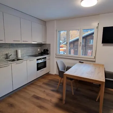 Direkt An Der Langlaufloipe Apartment