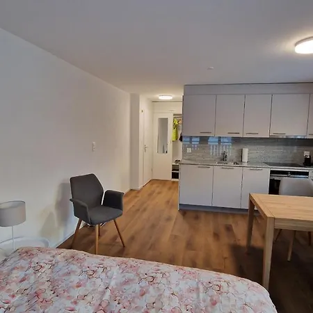 Apartment Direkt An Der Langlaufloipe Oberwald